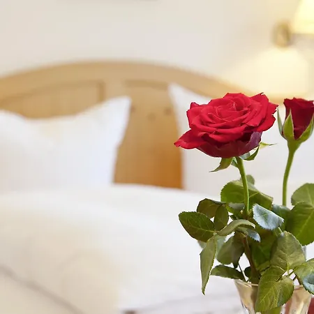 Haller's Boutique-hotel Ξενοδοχείο